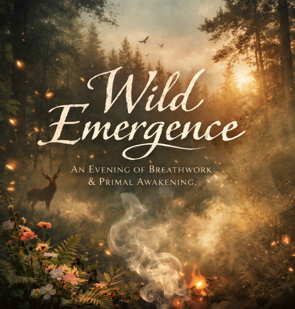 95EE74C4-3AE6-4A11-BB33-6F6A8C83CD7A Conches | Image de Pissenlit